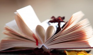 但字怎么组词 得字怎么组词