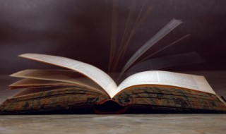 刺猬的刺怎么组词 刺猬的刺怎么组词语