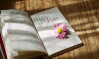 时怎么组词 哇怎么组词