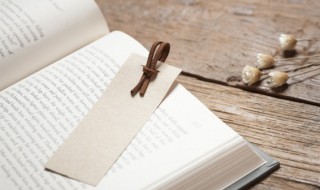 红楼梦第七十六回概括（红楼梦第七十六回概括500字）