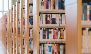 霸王别姬内容概括（霸王别姬主要内容概括）