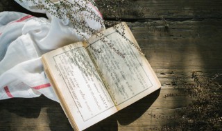 白光鲁迅概括 山林居茶具