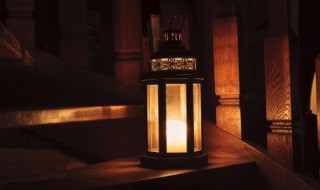 夙兴夜寐怎么读（夙兴夜寐什么意思）