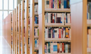 障碍怎么读（障碍怎么读拼音怎么写）