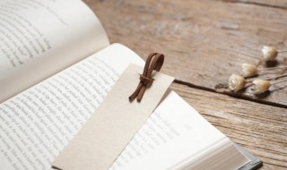 脲醛怎么读 脲醛怎么读什么意思