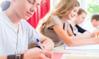 瓢虫英语怎么读 七星瓢虫英语怎么读