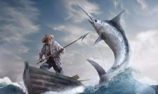 老人与海含义（老人与海含义深刻的句子）