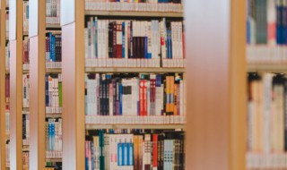 狼王梦第六章内容概括（狼王梦第六章内容概括300字）