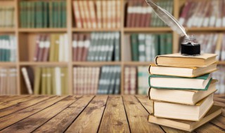 概括东坡书院的特点（东坡书院的特点20字）