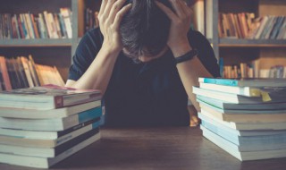 猪八戒高老庄娶亲概括（猪八戒高老庄娶亲概括50字）