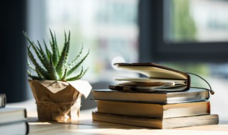 归纳和概括的区别 综合应用归纳和概括的区别