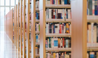 遮天内容概括 遮天内容概括详细