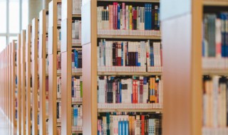 报偿的近义词（报偿的近义词是补偿吗）