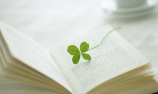 雪白近义词 雪白近义词是什么 标准答案