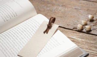 我不是懦夫概括（我不是懦夫读后感）