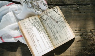 私放晁天王概括 私放晁天王概括100字