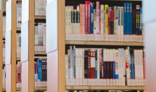 林海雪原概括 林海雪原概括50字