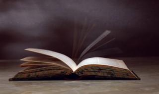 傲慢与偏见第二章概括（傲慢与偏见第二章概括100字）