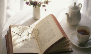 格列佛游记主要内容概括（格列佛游记主要内容概括300字）