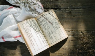 在保安的概括（在保安的概括怎么写）