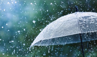 描写大雨的唯美句子（描写大雨的唯美句子简短）