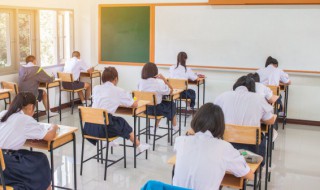 哮组词组（哮组词组什么）