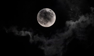 月亮是什么颜色（晚上的月亮是什么颜色）