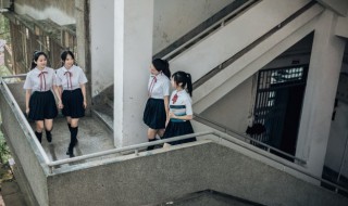 翼的组词和拼音（翼的组词和拼音和部首和笔画）