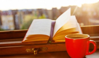 夹叙夹议作文 夹叙夹议作文怎么写