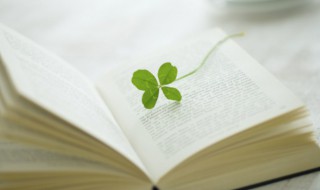 关于三年级满分作文（关于三年级满分作文的作文）