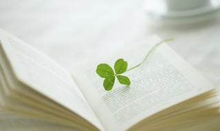 美丽的她作文 美丽的她作文怎么写