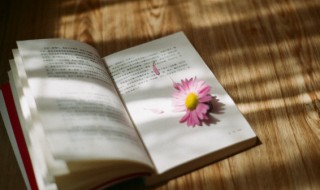 一封家书作文（一封家书作文400字）