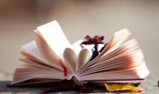 晁盖曾头市中箭概括 晁盖曾头市中箭概括20字