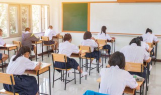 什么是投资项目管理师考试（投资项目管理师是干什么）