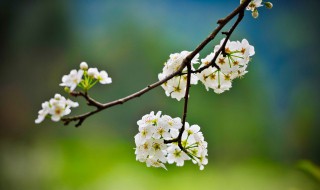 我喜欢的季节作文（我喜欢的季节作文300字）