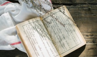 以寻找什么为话题的作文 以寻找什么为话题的作文600字