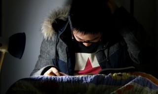 芮组词 莺组词