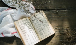 桃花诗词名句 桃花诗词名句有哪些