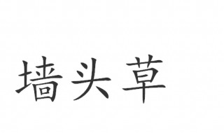 墙头草是什么意思 说一个人墙头草是什么意思
