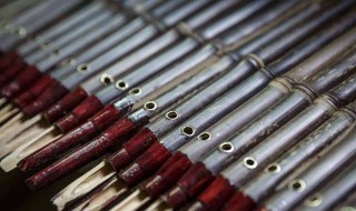 笙是什么意思 笙怎么读