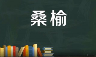 桑榆是什么意思（桑榆非晚,柠月如风是什么意思）