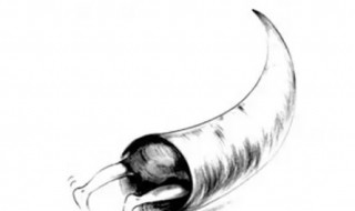 钻牛角尖是什么意思 男人说女人钻牛角尖是什么意思