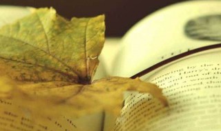 男生贾里读后感（男生贾里读后感50字）