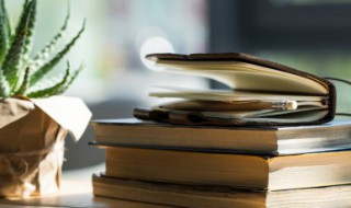 轻车熟路是什么意思（驾轻就熟是什么意思）