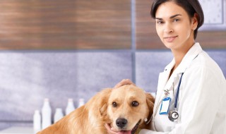 兽医自考需要什么条件（兽医自考需要什么条件呢）