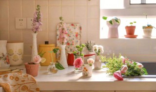 充斥是什么意思 充盈是什么意思