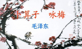 己是悬崖百丈冰犹有花枝俏的意思 己是悬崖百丈冰,犹有花枝俏诗句是什么意思