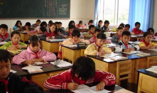 关于白鹭的古诗（关于白鹭的诗句）