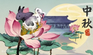 中秋趣事400字作文 中秋节趣事作文450字