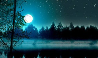 明月别枝惊鹊清风半夜鸣蝉的意思 盈盈一水间,脉脉不得语的意思